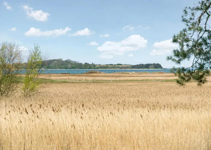 Antti - 350m From The Sea By Interhome * Millinge